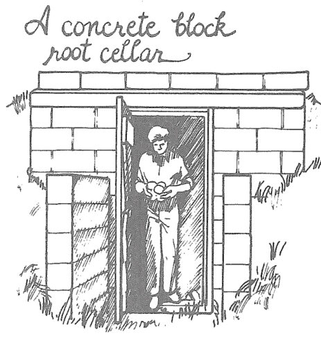 Building Root Cellars in Basements – Mother Earth News